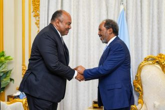 A Historic Partnership: Tanzania and Somalia Forge New Diplomatic Ties: