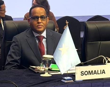 Somalia and China Sign Zero-Tariff Fisheries Protocol, Boosting Blue Economy and Jobs: