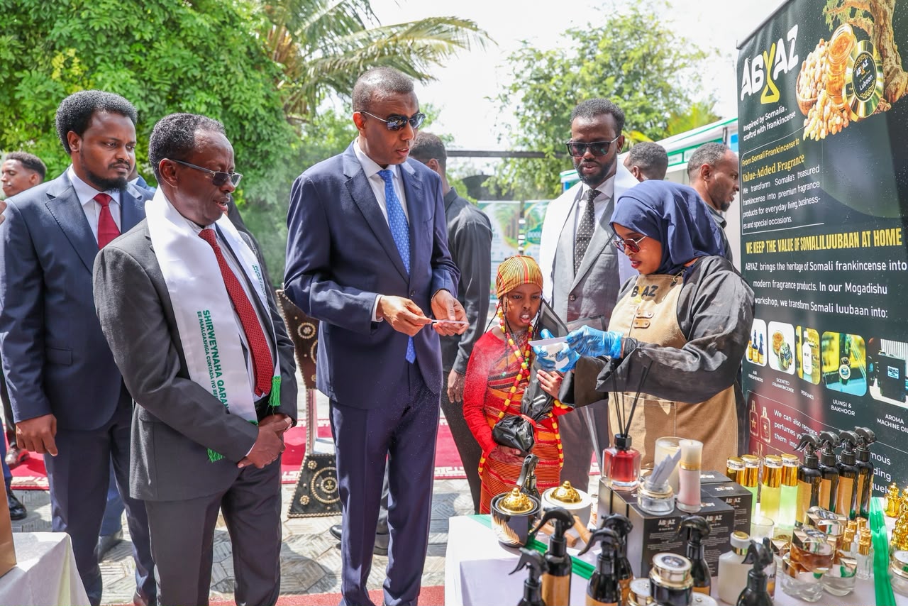 PM Hamza Opens NAFIS 2026 Conference on Agricultural Investment and Food Systems