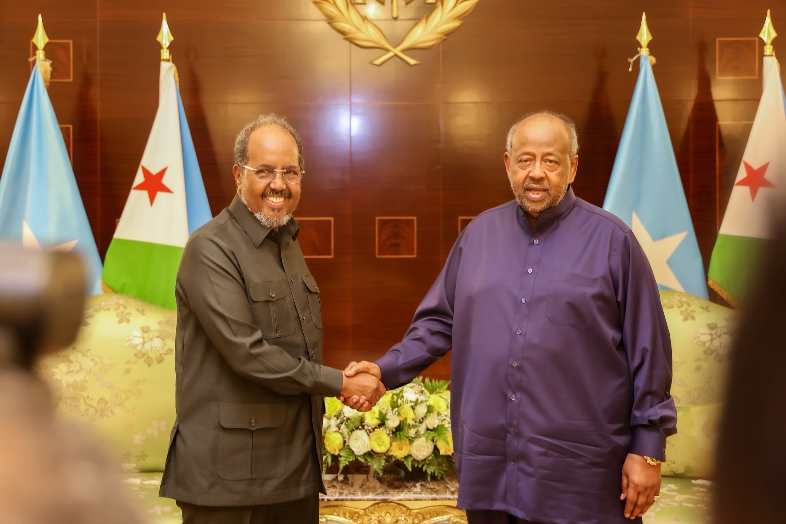 Somalia, Djibouti Presidents Discuss Bilateral Ties and Regional Security